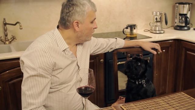 Бельгийский (брюссельский) гриффон. Собаки для квартиры. Умнейшая собака Гарри Шторм . Видео 2 из 6 смотреть онлайн