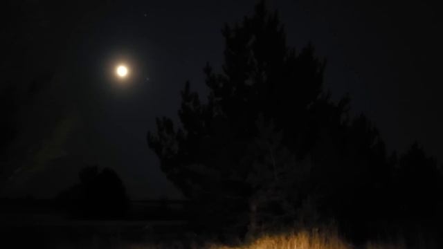 Сеанс связи с МКС 25 ноября 2023 г смотреть онлайн