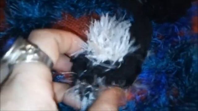 ЗИМНИЕ БУСЫ из "ТРАВКИ" - ОРИГИНАЛЬНЫЙ ДИЗАЙН - ЛЕГКО! смотреть онлайн