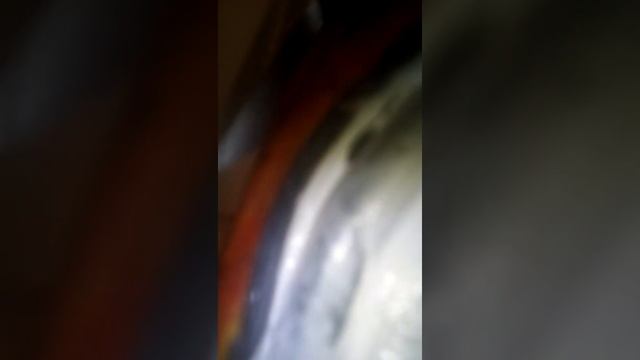 Мини басс калонка смотреть онлайн