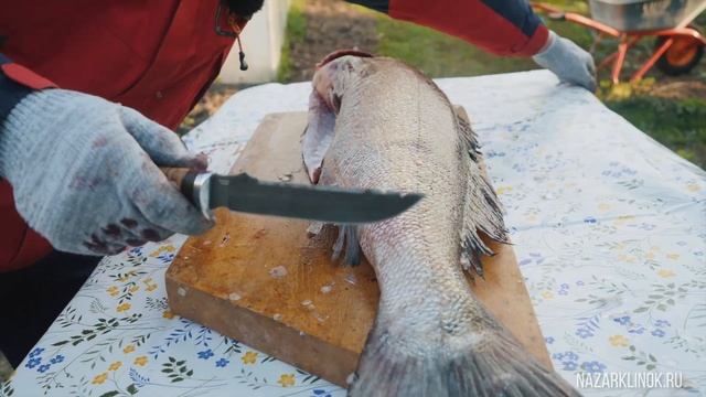 ШИКАРНЫЕ СТЕЙКИ из судака. Наш ЛУЧШИЙ нож для РЫБЫ. смотреть онлайн