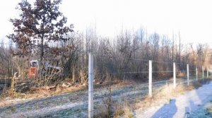 санитарная чистка леса Bobcat T 870 | очистка насаждений , кустарников погрузчиком Бобкет мульчером