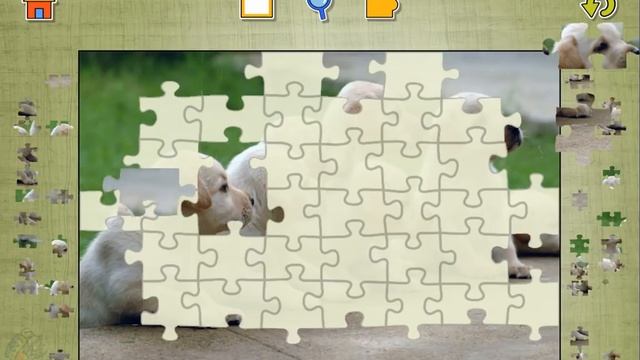 Dogs Jigsaw Puzzles Game | Kids Games | Puzzle | Part 3 смотреть онлайн
