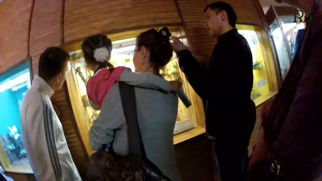 зоопарк санкт-петербург.зоопарк спб смотреть онлайн