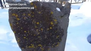 Грибок на памятнике и меры предосторожности.