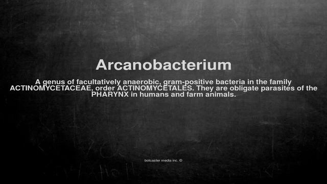 Medical vocabulary: What does Arcanobacterium mean смотреть онлайн