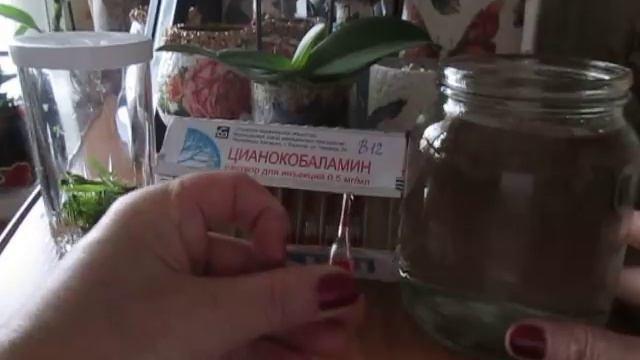 Витамин В12 для орхидей. смотреть онлайн