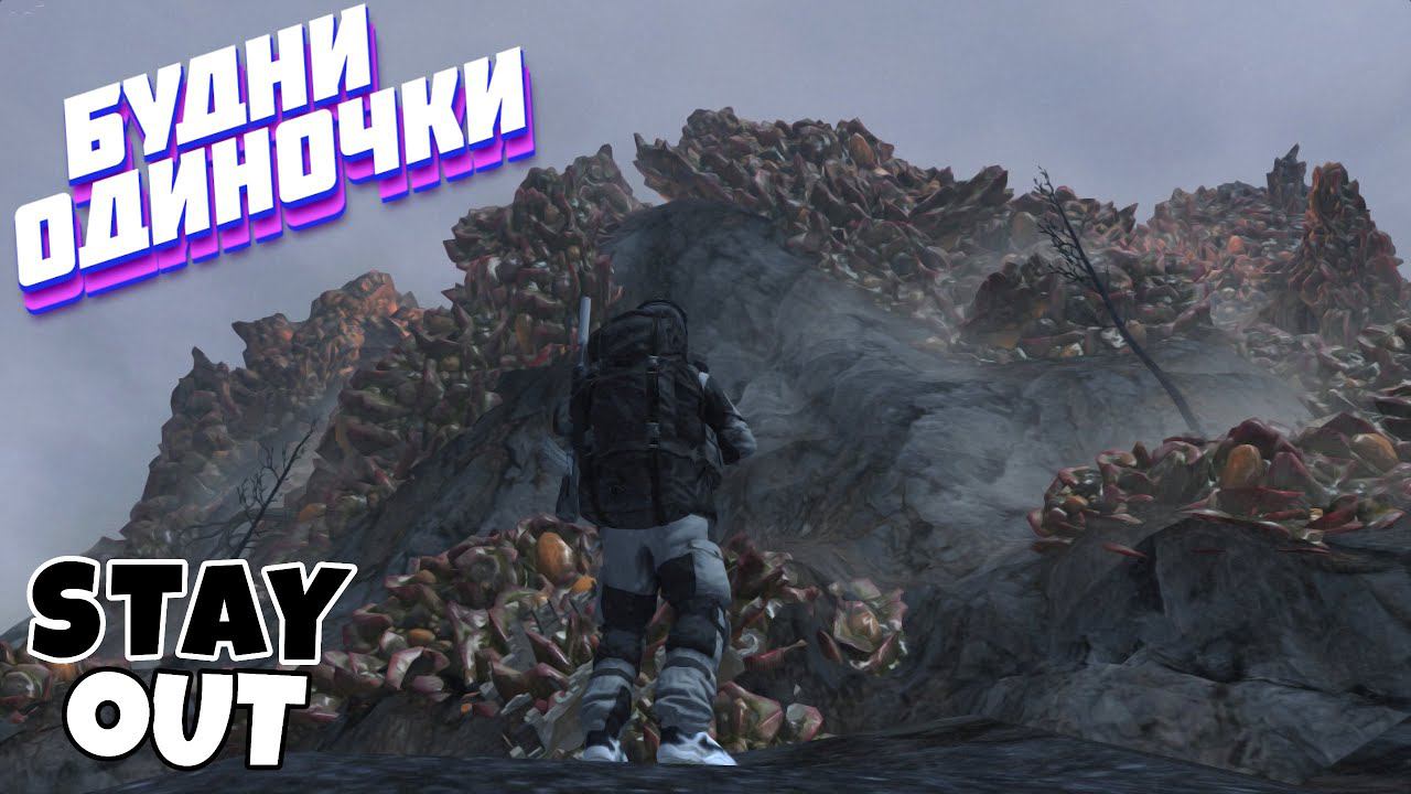 🔴Везувий⚡Сталкер онлайн⚡StayOut⚡Steam EU-1