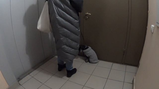 Алиса идет домой с прогулки в новой кофточке!) смотреть онлайн