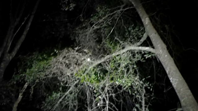 WITCH HOUSE WITH ANGIE / DEMON CAUGHT ON CAMERA! смотреть онлайн