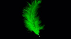 Футаж Перо  2