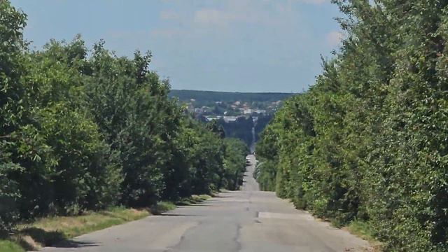 Бесконечная красота Болгарии. Лавандовые поля! смотреть онлайн