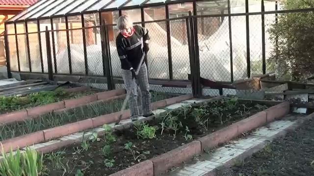 Защита земляники от вредителей смотреть онлайн