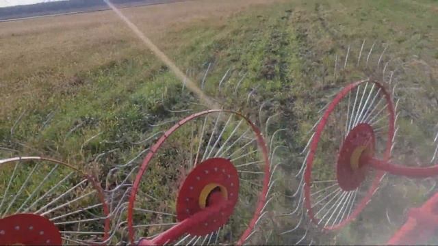 Разбиваю скошенную атаву ГВН 4 , 2023 смотреть онлайн