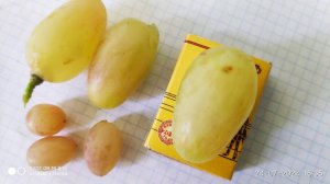 Виноград Преображение, обзор и продажа