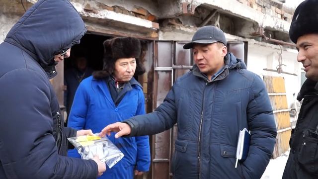 Светоотражающие ошейники 2