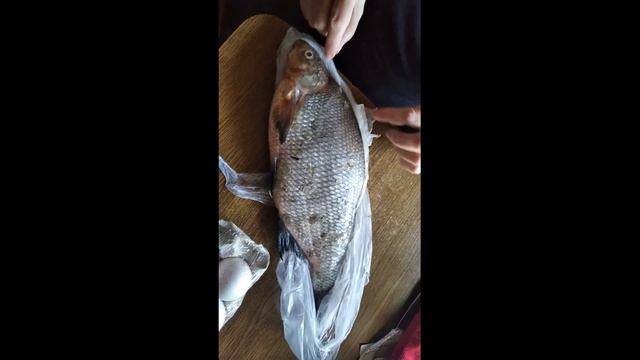 ЗАПОРОЖЬЕ КУПИЛ ЯЙЦА ФАБЕРЖЕ 19.11.22 смотреть онлайн