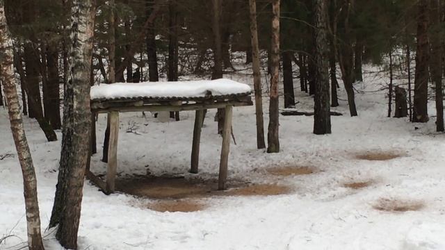 Косуля с вышки смотреть онлайн