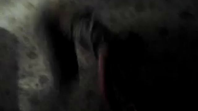 Как правильно заправлять кровать смотреть онлайн