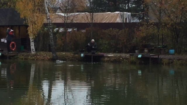 Поимка форели на спиннинг. РК Фишка Липки. смотреть онлайн