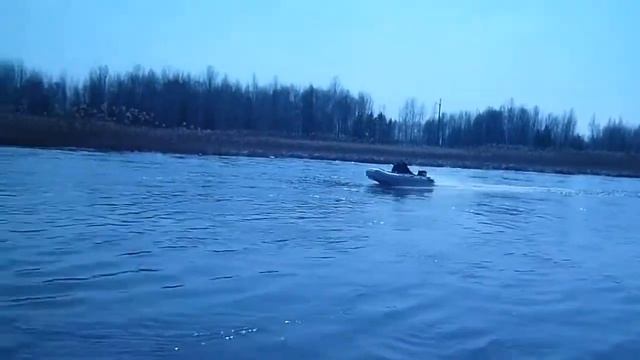 Stingray 320AL   SeaPro 9,8