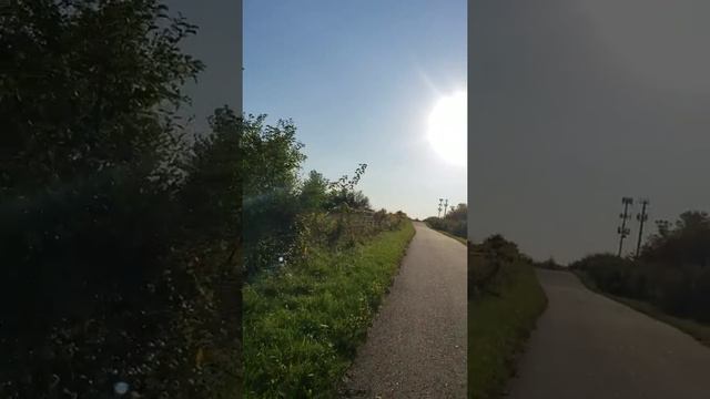 Longboarding Journey. Forest and Highway смотреть онлайн