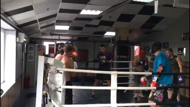 Тренировки и Спаринги - Митино Зебра Бокс смотреть онлайн