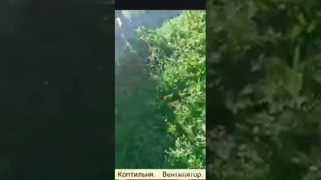 Solar cooker. Smokehouse. Коптильня. Гидрозатвор. Солнечная печь. 455 гр. С. Вентилятор от тепла. смотреть онлайн