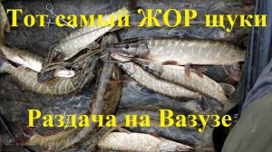 Осеннее «Эльдорадо»