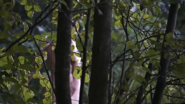 18+ тизер фильма "Чайка-неизвестная версия" смотреть онлайн