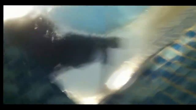 Зеркало под водой смотреть онлайн