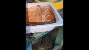 Белковая подкормка пчёл весной.