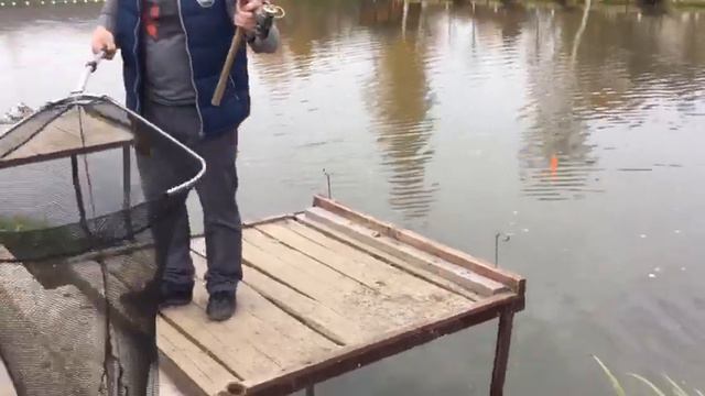 Форель на резину в РК Фишка Липки смотреть онлайн