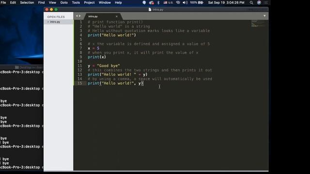 AP Computer Science Principles (Day 2): Python Data Types, Variables, Input смотреть онлайн