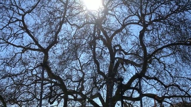 Влог Порталегре. Португалия. смотреть онлайн