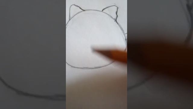 Как нарисовать котика пильмешку карандашом смотреть онлайн