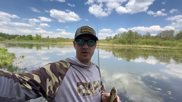 Впервые ловлю в своём городе! Разловил новый джерковый Zetrix.