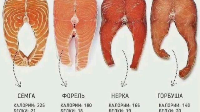 Як визначити по філе яка риба, семга, форель, нерка, горбуша! смотреть онлайн