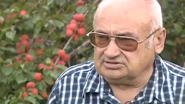 Сад Валерия Железова Урожай Абрикосов 2013 год смотреть онлайн