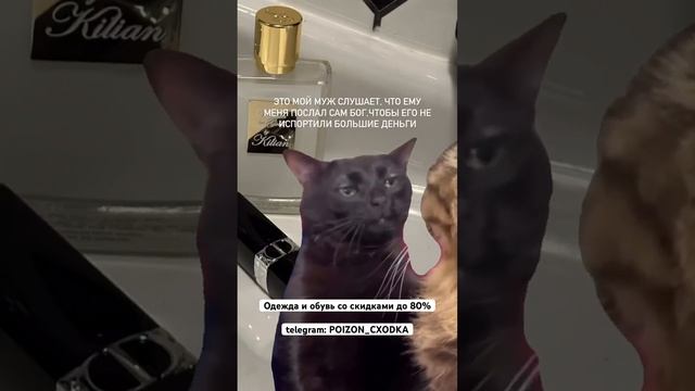 Зачем переплачивать, когда есть мы!? смотреть онлайн