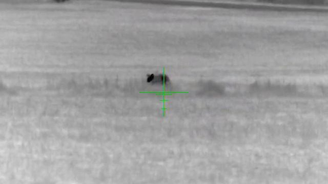 Thermal Hunting (Atn Thor 4 640)