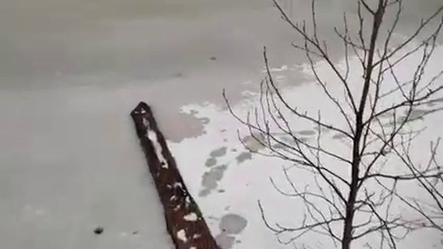 Первая зимняя велопрогулка на озеро Долгое смотреть онлайн