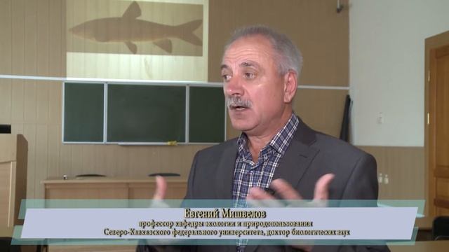 Дрейссена смотреть онлайн