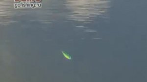 Азбука рыбалки - Ловля на джерк-бейты