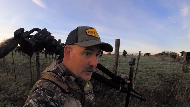Cattle Country Coyotes - Coyote Hunting