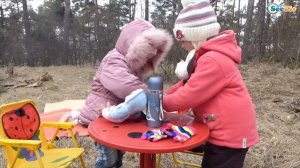 Кукла Беби Борн. Ярослава с подружкой Варей на прогулке. Пикник в лесу. Tiki Taki Cook