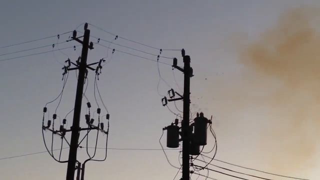Птицы погибают на высоковольтных линиях электропередач. смотреть онлайн