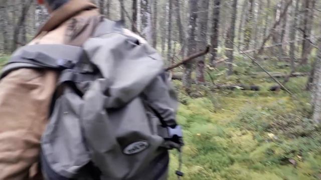 Нагонка 23.08.19г. смотреть онлайн