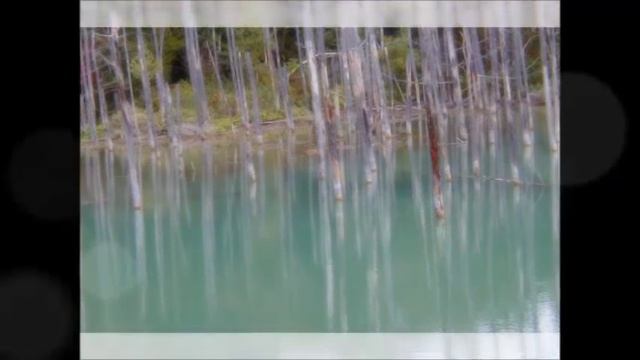 Keith Jarrett Cologne Concert