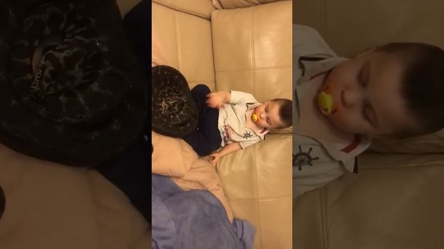 Ребенок и Ковровый Питон смотреть онлайн